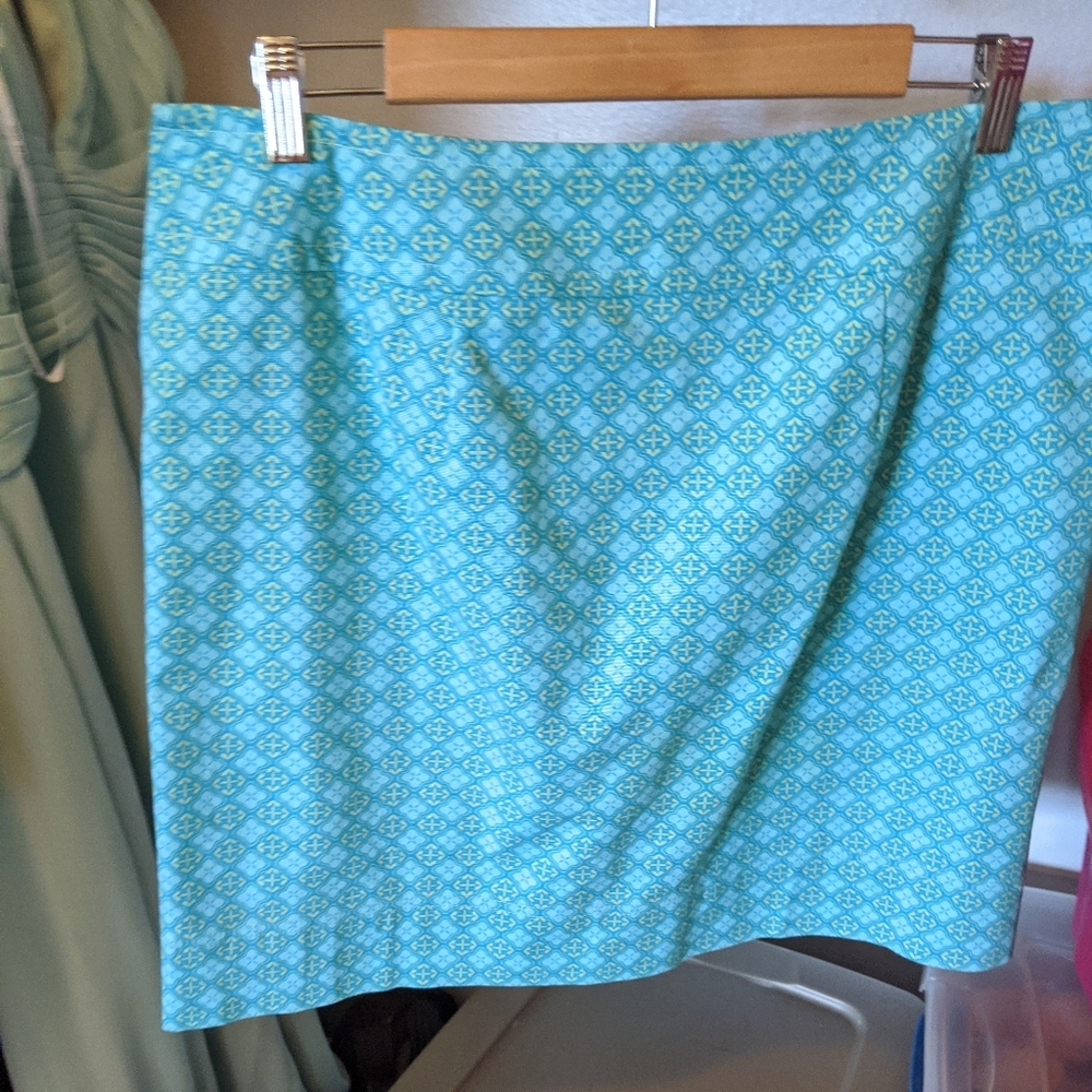 Talbot's skirt